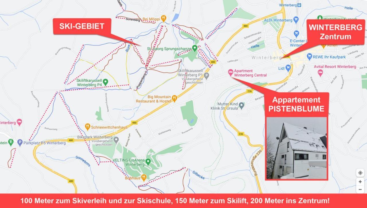 Pistenblume Apartment - Skipiste, Stadtzentrum Winterberg Kültér fotó