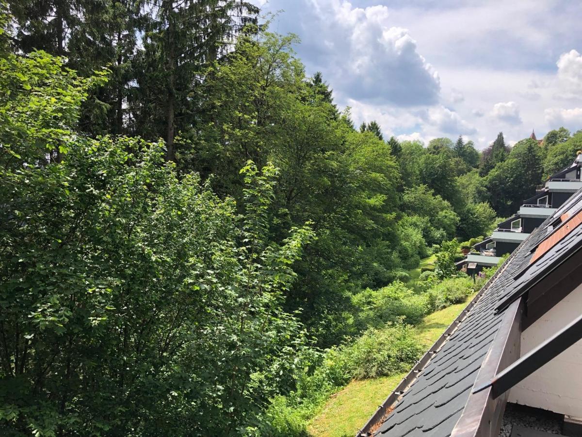 Pistenblume Apartment - Skipiste, Stadtzentrum Winterberg Kültér fotó